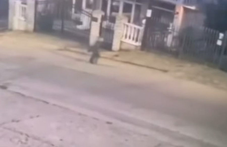 Oglasio se vlasnik hostela u kom je pronađen dečak u Nišu: Evo šta je rekao nakon drame!