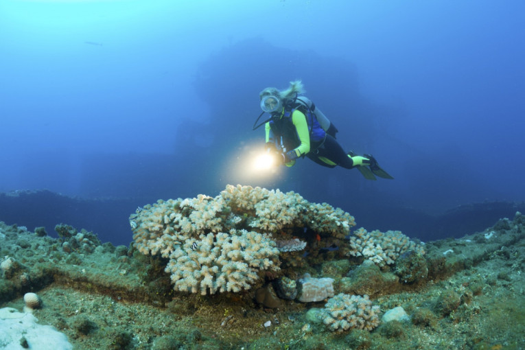 Skriveni biser Pacifika: Ostrva koja malo ko posećuje i priroda koja oduzima dah (FOTO)