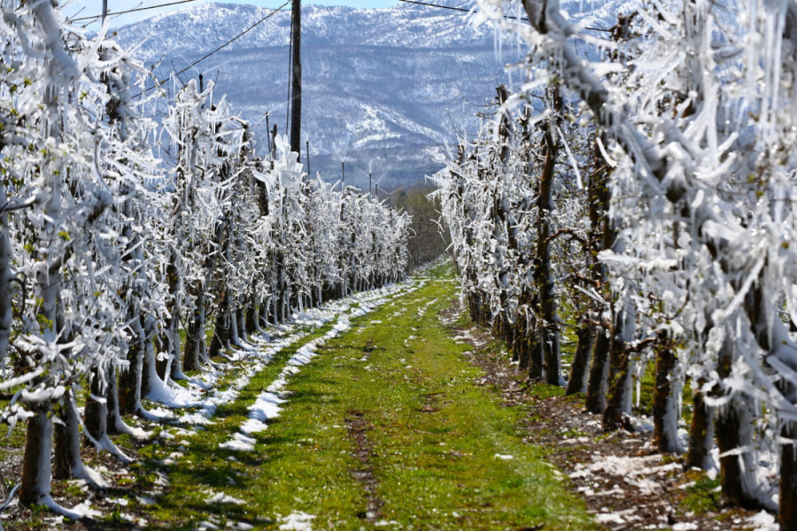 Stiže "omega blok": Za Prvi maj roštiljanje u jaknama? Evo šta kažu meteorolozi