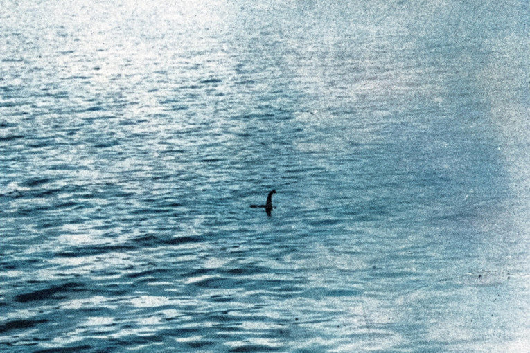 Mladi Dragačevci ostaju na dedovini i lepo žive: Đorđe poručuje - svi veliki problemi su nam rešeni, sada čekamo vrtić jer je dece sve više