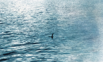 Čudo neviđeno u Srbiji: Kad su ljudi videli šta je izronilo iz vode, nisu mogli da veruju svojim očima (FOTO)