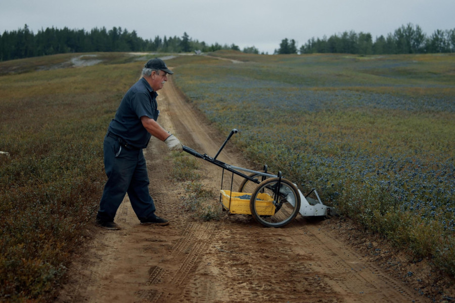Poželećete mesto u bioskopu: Predstavljen program ovogodišnjeg Beldocs festivala