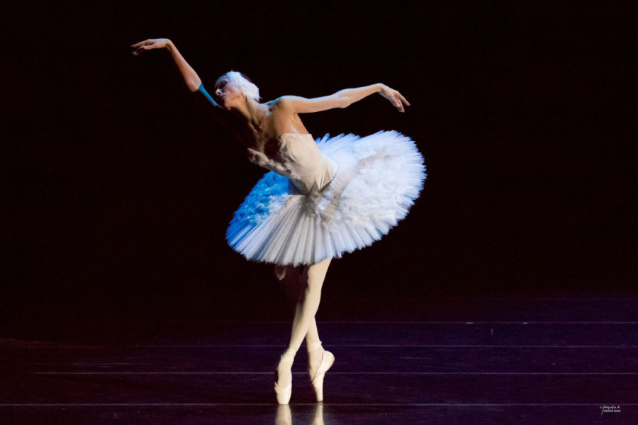 Njihovi prsti stvaraju spektakl od kog zastaje dah: Slavna balerina Svetlana Zaharova sa mužem nastupa u Beogradu (FOTO)