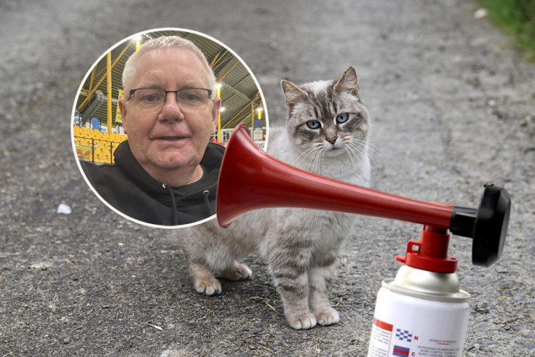 Spasavao mačku, pa dobio kaznu: Pravila jača od razuma u Nemačkoj