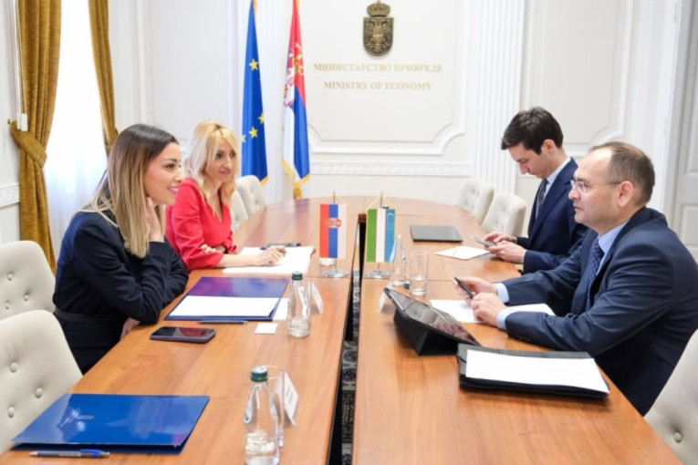 Mesarović sa Šakhavdinovim o dolasku privredne delegacije Uzbekistana u Srbiju