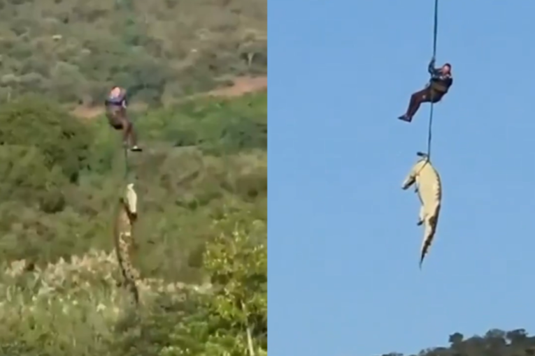 Biznismen nestao, glavni osumnjičeni naduveni krokodil: Jedva ga izvukli iz reke, u njemu našli šest pari obuće (VIDEO)