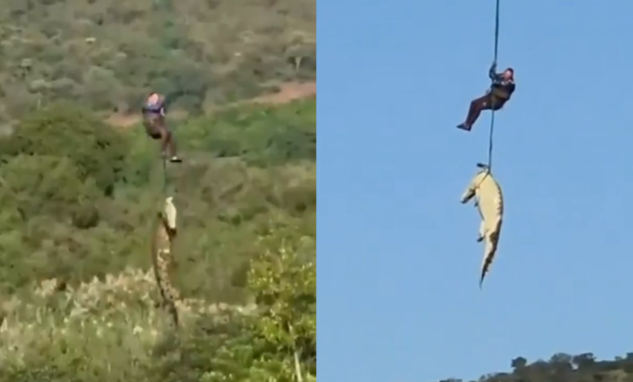 Vrisci odzvanjali zoološkim vrtom! Trogodišnjak bačen krokodilima - šta se ovo dešava?!