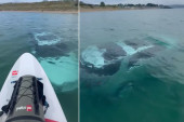 Uživala na moru, a onda ugledala prizor za nevericu: Čudo od 90.000 evra ležao na dnu (VIDEO)