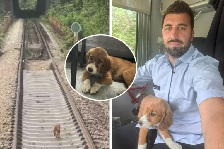 Mašinovođa iz Zaječara zaustavio voz kako bi spasao štene na pruzi (FOTO)