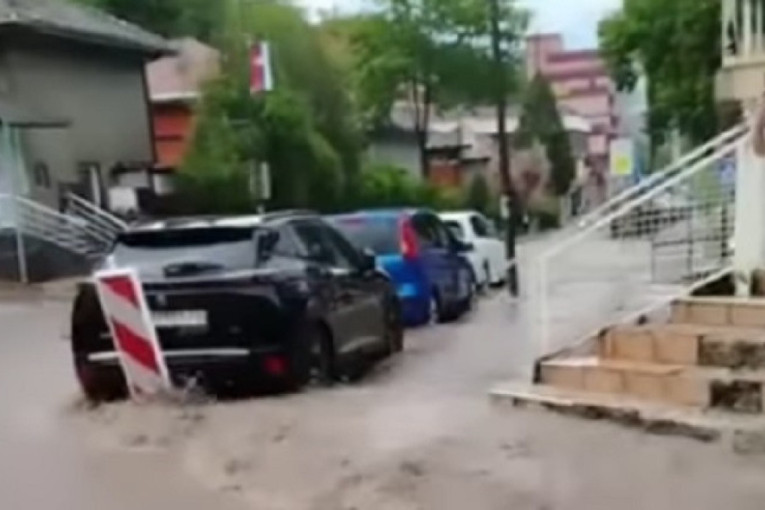Nebo se otvorilo nad Srbijom: Grad tukao bez milosti, padalo drveće i pucali kablovi! (VIDEO)