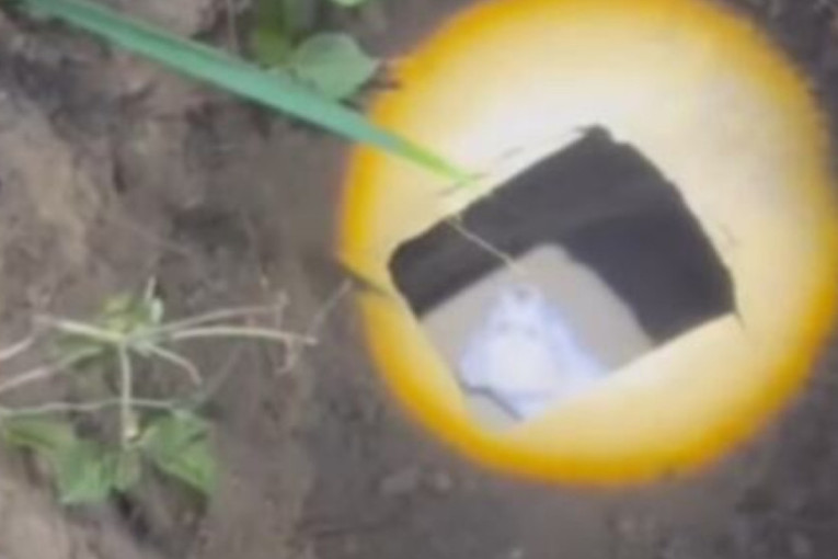 Herojski podvig: Vatrogasci izvukli psa iz septičke jame u poslednji čas! (VIDEO)