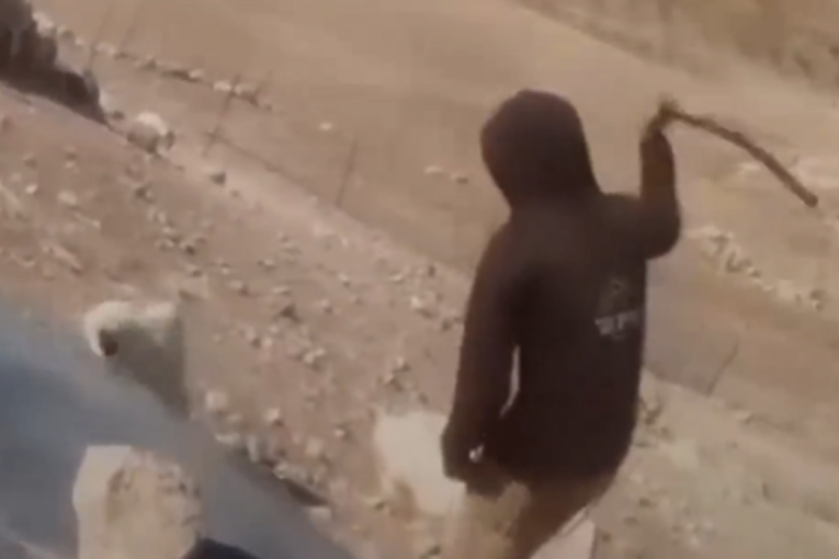 Iživljavanje Izraelca na Zapadnoj obali zgrozilo svet: Premlatio psa, pa oborio ženu sa detetom dok joj je odvodio stoku (VIDEO)