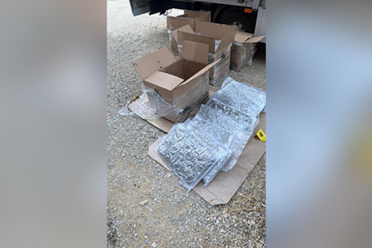 Naivci iz Krnjače: Evo kako su osumnjičeni pokušali da umaknu policiji (FOTO)