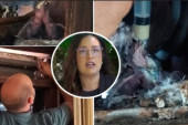 Sara Pavkov saopštila dobre vesti: Mladunci bele čiope dobro, u toku zbrinjavanje i hranjenje (FOTO/VIDEO)