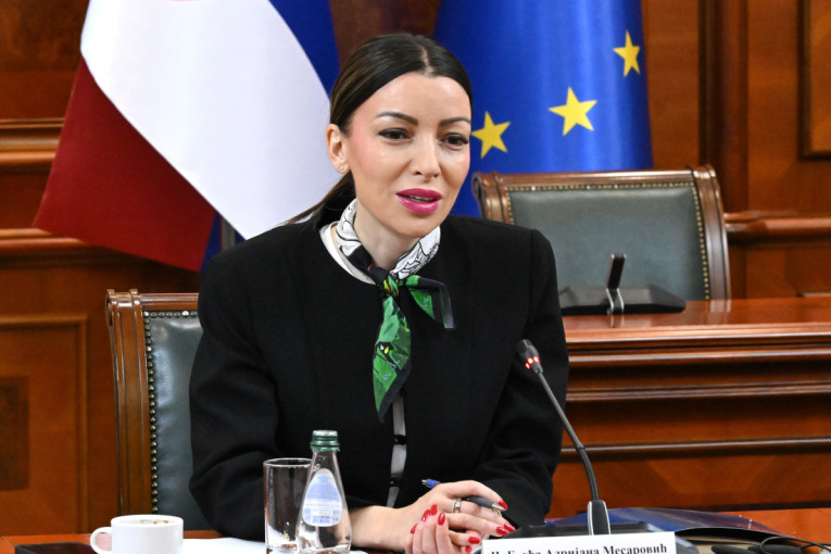 Mesarović oštro odgovorila "beogradskim kommitama": Ponoš, Stefanović i Milivojević uhvatili se sa crnogorskom klikom koja je izvezla mafiju
