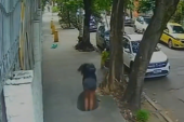 Snimljena neverovatna scena: Žena upala u šaht, poklopac se podigao i zatvorio za njom (VIDEO)