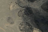 Misterija ispod pustinjskog peska u Sahari: Pronađene drevne grobnice starije od faraona (FOTO)