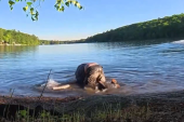 Muškarac pokušao da udavi tinejdžera u jezeru: Napao ga, pa gurnuo pod vodu, prijatelji ga jedva spasili (VIDEO)