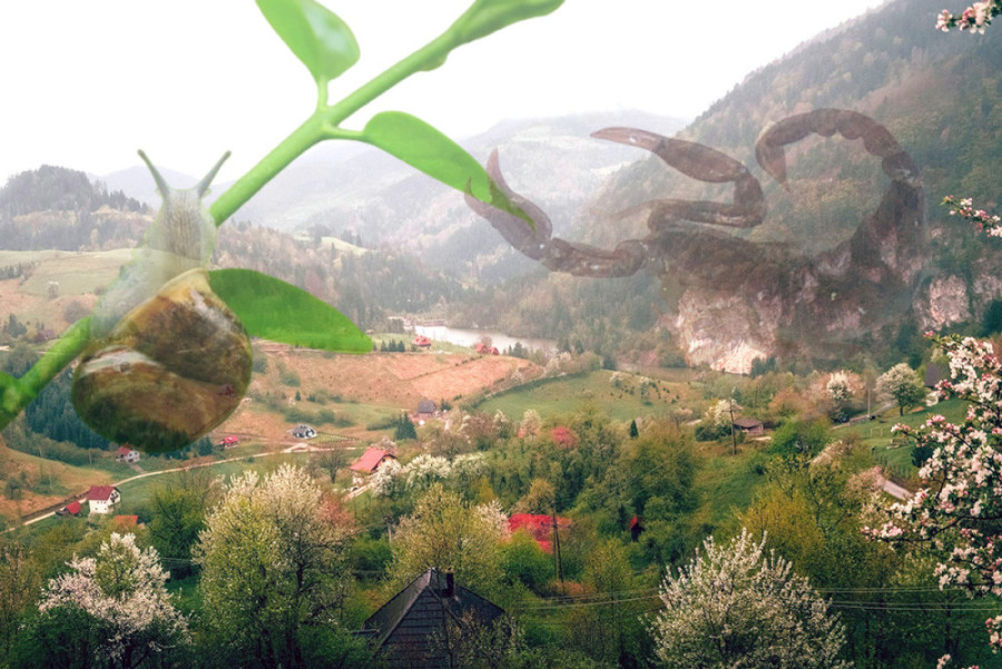 Novi radovi širom Srbije: Jedna od najprometnijih petlji van funkcije do 15. juna