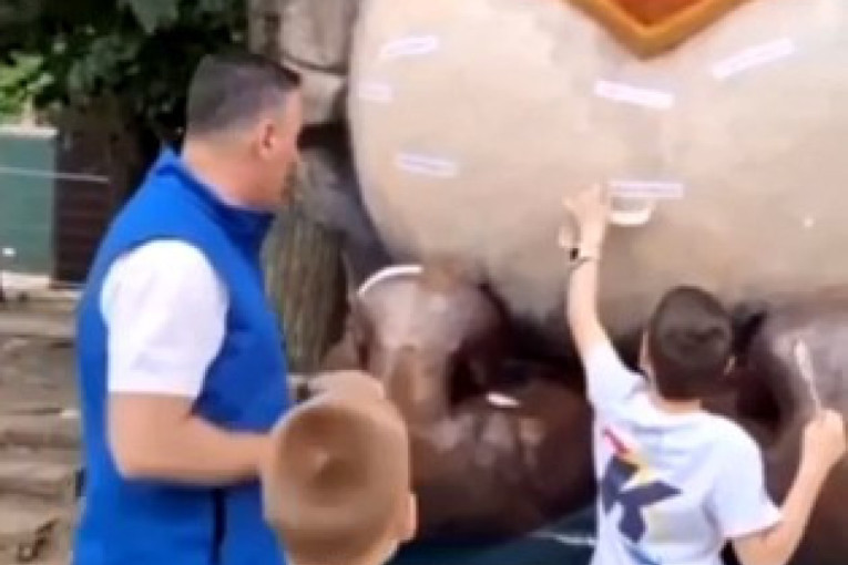 "Da su svi Crnogorci gej i Milatović bi bio!" Antić demolirao Jakova, dal će se oporaviti posle ovoga? (VIDEO)