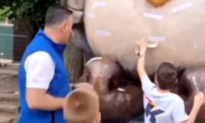 Nova blokaderska skandalčina u Vrnjačkoj Banji! Zloupotreba maloletne dece na najvišem nivou! (VIDEO)