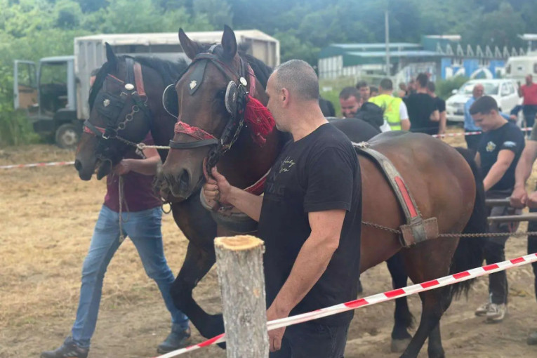 Preko 100 konja iz svih delova Srbije stiglo u ovo selo: Štraparijada u Kotraži dokazala - stari običaji i tradicija još se čuvaju