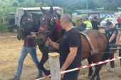 Preko 100 konja iz svih delova Srbije stiglo u ovo selo: Štraparijada u Kotraži dokazala - stari običaji i tradicija još se čuvaju