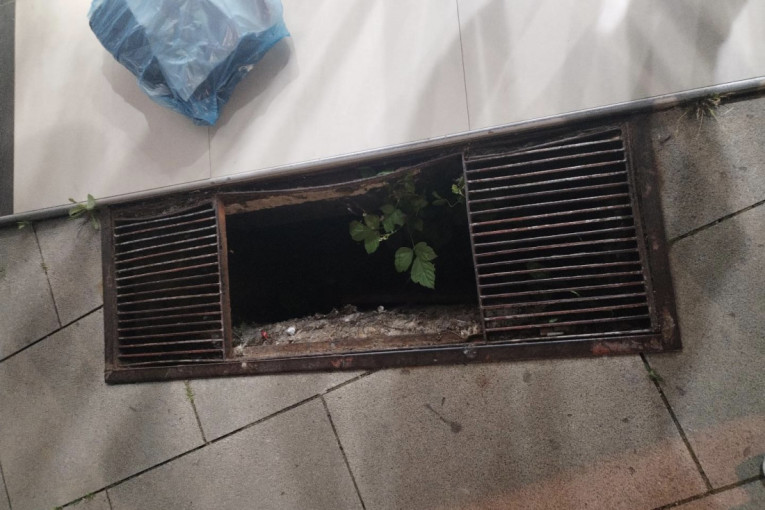 Umalo tragedija u centru Čačka: Vesna upala u otvorenu šahtu na Gradskom trgu! (FOTO)