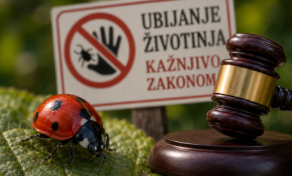 Nezgodan udarac po džepu! Ako ubijete ovu životinju u Srbiji, možete platiti i do milion dinara