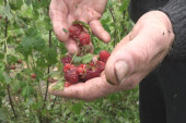 "Za pola sata nestao je sav naš trud": Razorni grad opustošio sela kod Ivanjice