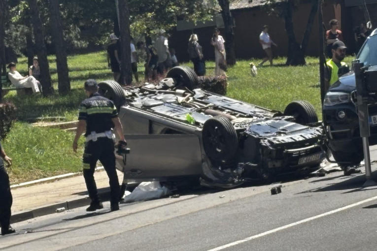 Plantaža u dvorištu! Evo šta je policija otkrila u Žablju (FOTO)