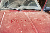 Deluje bezazleno, ali pravi veliki problem: Polen može ozbiljno da ošteti vaš automobil