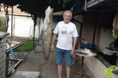 Dragan upecao soma kapitalca  u Zapadnoj Moravi: Borba da ga izvuče trajala dva sata (FOTO)