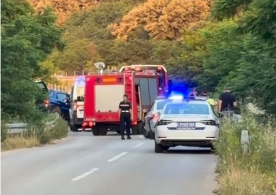 Horor u porodičnoj kući: Sin pucao u majku, žena se bori za život!