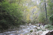 Ovo je jedna od dve najčistije reke u Srbiji: Krije kanjone, vodopade i plaže neobičnih imena