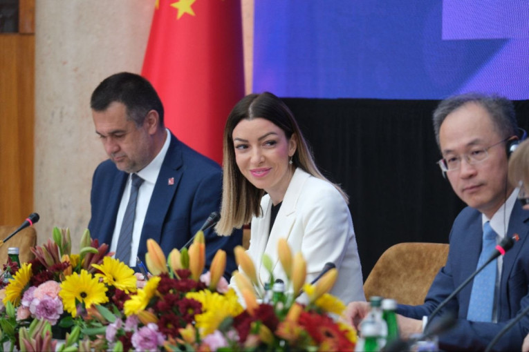 Mesarović na Šestoj beogradskoj „Think Tank“ konferenciji: Srbija jedan od najvažnijih partnera Kine u ovom delu Evrope