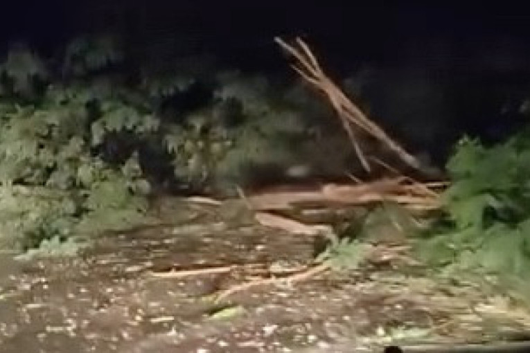 Grom napravio haos u naselju Obrež kod Čačka: Pregoreli kućni aparati i internet ruteri, jaka oluja pokidala dreveće (FOTO)(VIDEO)
