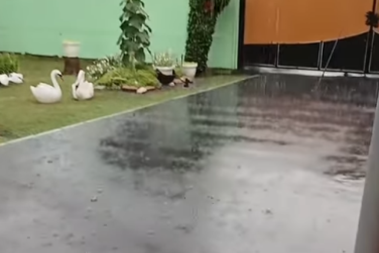 Nevreme pogodilo Vojvodinu: Lije kao iz kabla, ulice i dvorišta pod vodom (VIDEO)