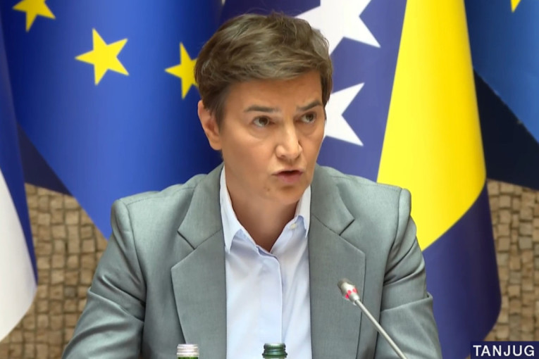 Vučić poručio iz Palate Srbija: Nisam optimista kad je reč o brzom članstvu u EU, ali to nije razlog da ne sprovodimo važne reforme (VIDEO)