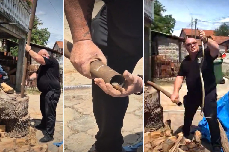 Poznatog srpskog zmijolovca opet ujela zmija! Zavukla se u cev, a onda... (VIDEO)