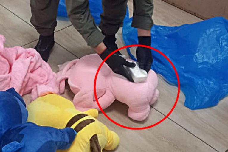 Pančevačka policija u plišanoj igrački pronašla 55 grama kokaina, uhapšena devojka