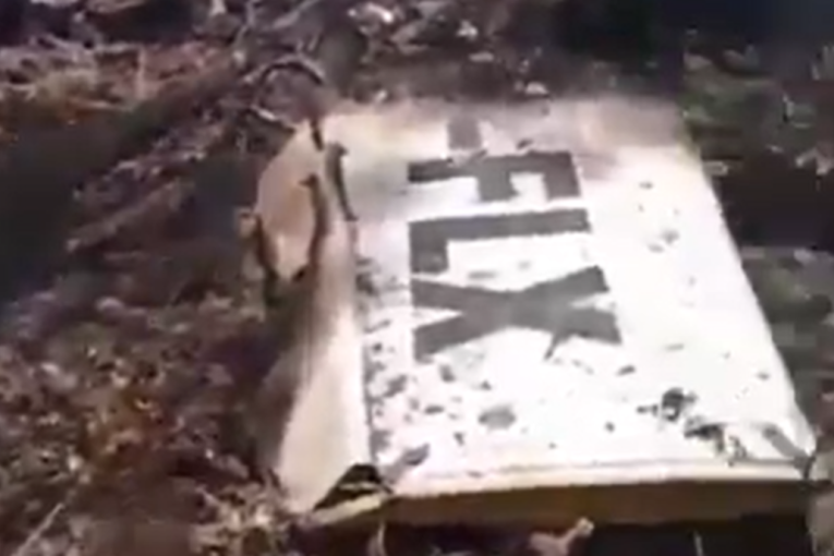 Tragedija na egzotičnom ostrvu: Avion pao neposredno pre sletanja, svi putnici stradali (VIDEO)