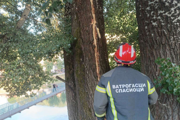 Grom rascepao stablo od 30 metara u centru Prijepolja: Krhotine letele ulicom, zapalio se strujomer (FOTO)