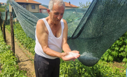 Apokalipsa u Prijepolju: Jak i krupan grad uništio voćnjake i bašte, silovito nevreme pogodilo nekoliko sela (FOTO)