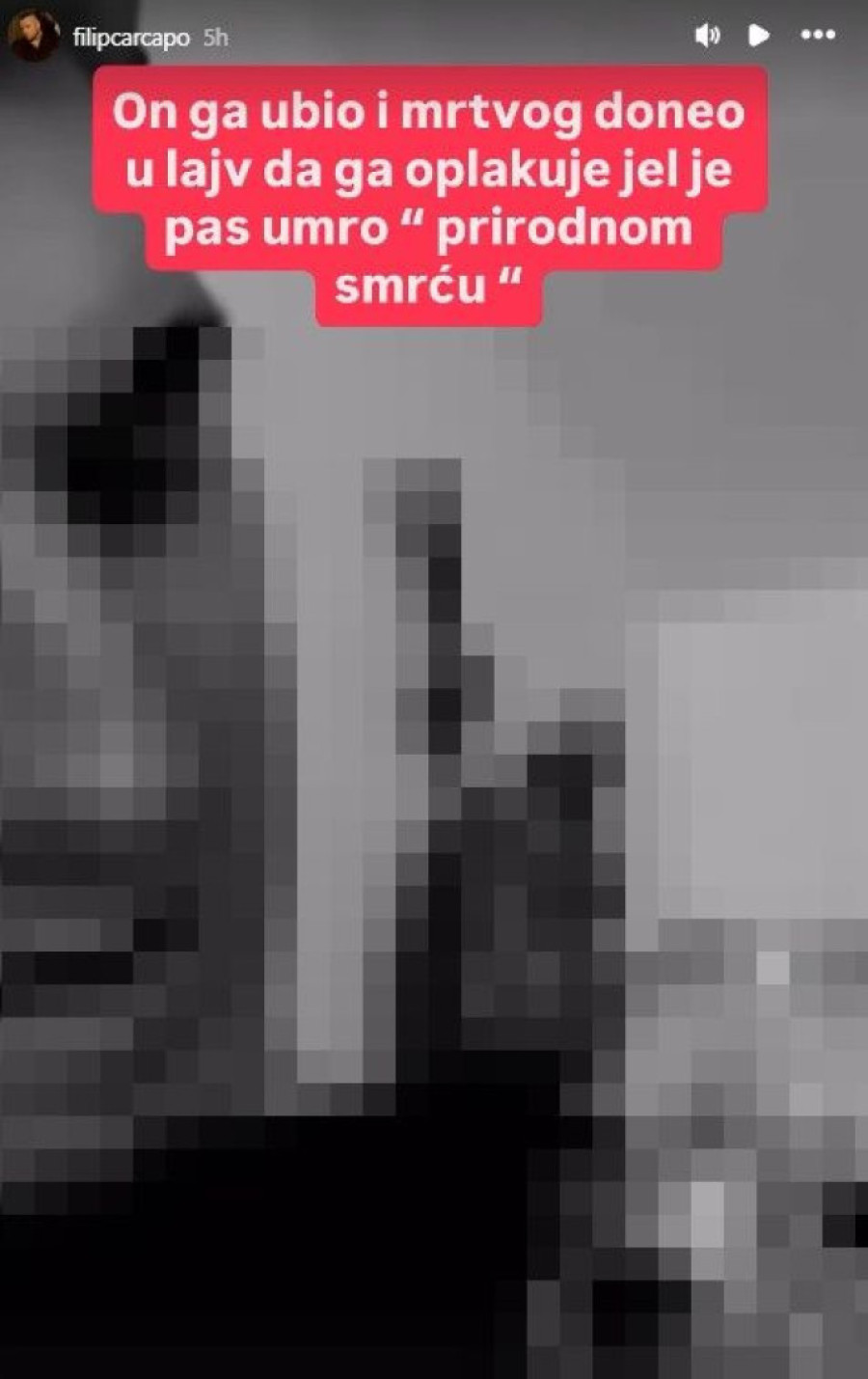 Šok snimak Golubovića - Car sve obelodanio: Ubio je psa, pa plakao za njim u lajvu! (UZNEMIRUJUĆ VIDEO)