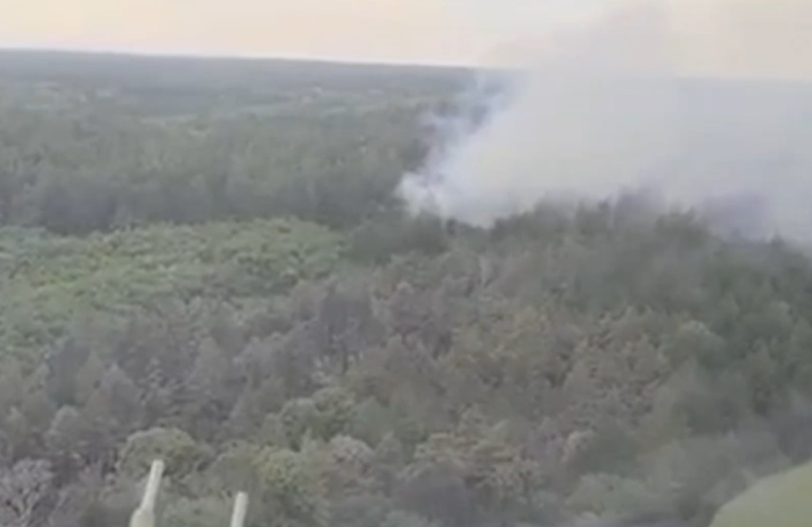 Gori Deliblatska peščara! Vatrena stihija progutala hektare borove šume, u akciju podignut i helikopter!