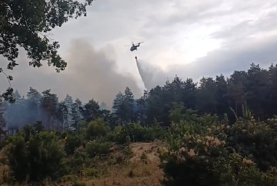 Heroji naši, Srbija vam "skida kapu"! Pakao je besneo, a oni nisu odstupili - vatrogasci telima branili ljude i kuće od vatrene stihije!
