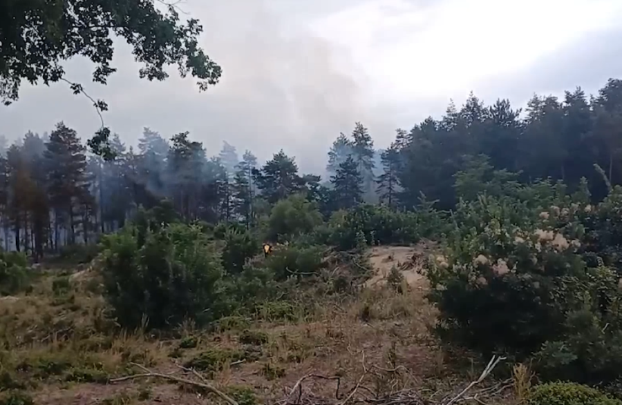 Heroji naši, Srbija vam "skida kapu"! Pakao je besneo, a oni nisu odstupili - vatrogasci telima branili ljude i kuće od vatrene stihije!