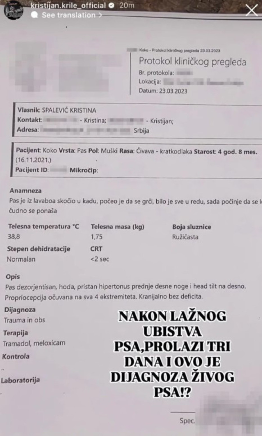 Kristijan Golubović objavio nalaz veterinara nakon optužbi da je ubio ljubimca (FOTO)