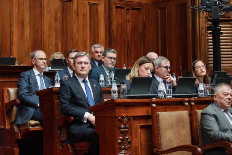 Skupština: Mali pokazao kako je funkcionisala Mikijeva hobotnica: Grafikonom raskrinkao sve njegove poslove s tastom